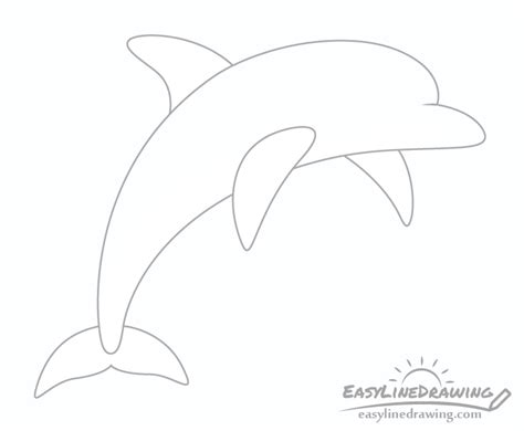 How to Draw a Dolphin Step by Step - EasyLineDrawing