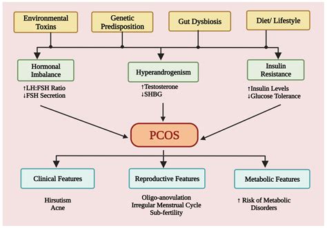 Jcm Free Full Text Polycystic Ovary Syndrome Etiology Current | Free Download Nude Photo Gallery