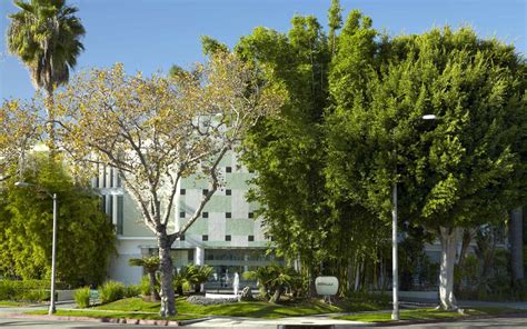 Los Angeles Hotel Photos | Avalon Hotel Beverly Hills