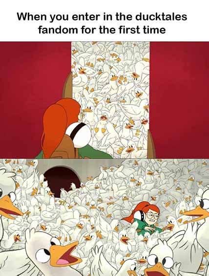 Ducktales Memes for when you're to obsessed - Ducktales Fandom - Wattpad