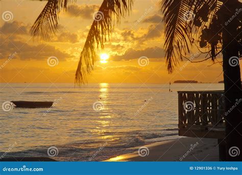 Beach. Maldives Sunset stock photo. Image of sunset, evening - 12901336