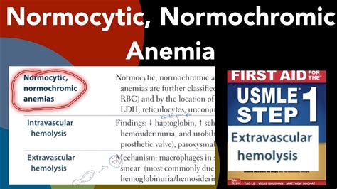 Normocytic Normochromic Anemias Causes, Symptoms And, 42% OFF