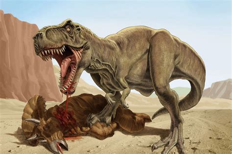 Poor Image: Tyrannosaurus Rex - TV Tropes Forum