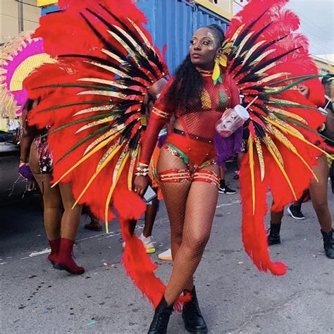 St Kitts and Nevis 🇰🇳 Carnival 🎡 in 2020 | St kitts and nevis, St kitts ...