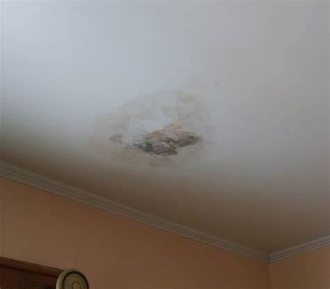 Mold In Bathroom Ceiling Dangerous | Shelly Lighting