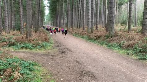 Wondered what 450 runners, running a Sherwood Pines parkrun looks like...well now you know | By ...