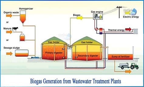 Energy potential from the generation of biogas from anaerobic