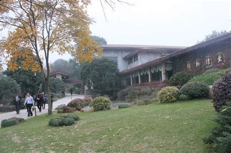 National Tea Museum (Hangzhou) - 2020 All You Need to Know BEFORE You Go (with Photos) - Tripadvisor