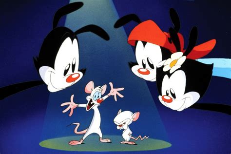 Remember The Animaniacs And Pinky & The Brain? They're Back This ...