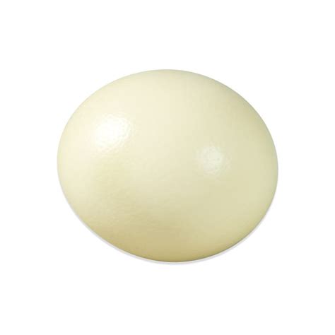 Buy Fresh Ostrich Eggs Online | Marx Foods