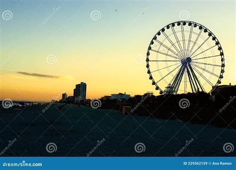 Ferris Wheel on Sunset Background. Stock Image - Image of moving, downtown: 229362159