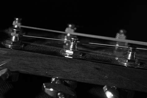 Tuning Pegs Guitar Tuning Music Photograph by Mona Master - Fine Art ...