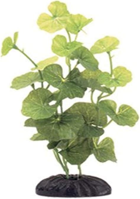 Best Silk Aquarium Plants 2020 - Get aquarium fish