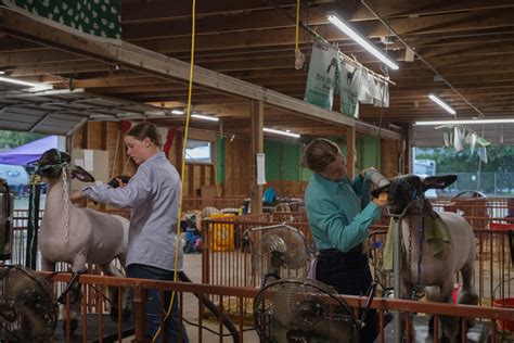 Photos: The Mower County Fair on Aug. 10, 2023 - Post Bulletin ...