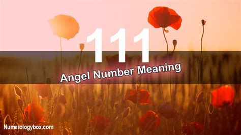 111 Angel Number Meaning: Why You Keep Seeing Angel Number 111? - numerologybox.com