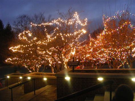 Carmel Indiana Christmas Lights | Flickr - Photo Sharing!