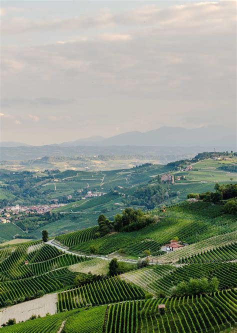 The graceful lands of the splendid Langhe area | Piedmont