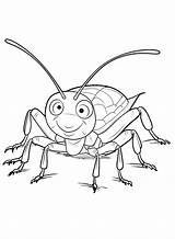 Colorare Scarafaggio Kakkerlak Cucaracha Cafard Kleurplaat Coloring  sketch template