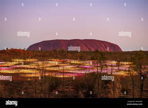 Field of Light at Uluru Stock Photo - Alamy