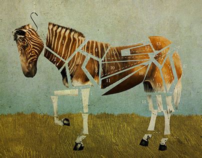 Quagga Animals Projects :: Photos, videos, logos, illustrations and branding :: Behance