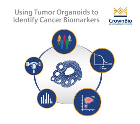 Cancer Biomarkers: Improving Detection and Treatment