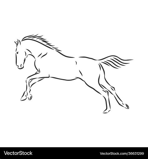 Horse Galloping Outline