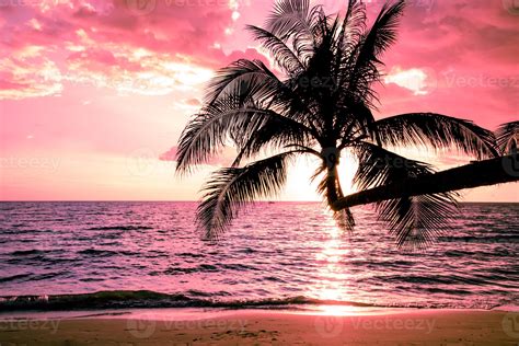 Beautiful sunset tropical beach with palm tree and pink sky for travel ...