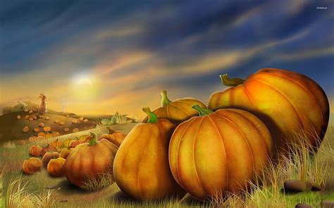 Field of pumpkins, pumpkies HD wallpaper | Pxfuel