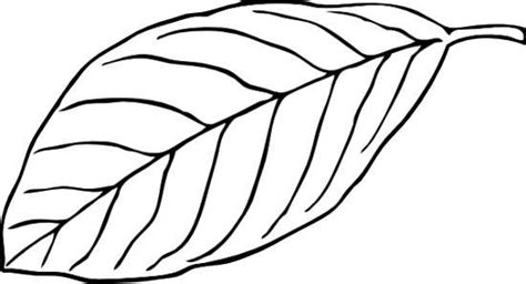 Leaf Clipart Black And White Outline in 2021 | Leaf clipart, Clipart black and white, Clip art