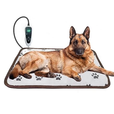 10 Best Dog Heat Pads to Keep Your Pup Warm and Cozy: A Comprehensive ...