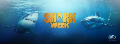 When is Shark Week? The 2023 Shark Week Dates