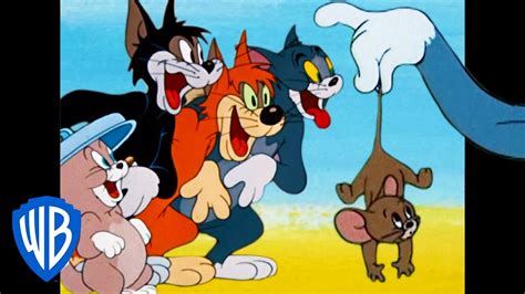 Tom & Jerry | What a Cat-astrophe! | Classic Cartoon Compilation | WB Kids - YouTube