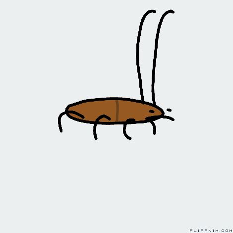 Wall-e Cockroach Gif ~ Cockroach Roach Gifs | Waldo Harvey