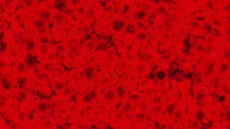 Red Smoke Effect Animation Background Stock Footage Video (100% Royalty-free) 1098263313 ...