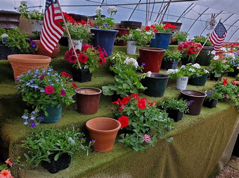 Rolfe's Flower Bin | Rolfe, Iowa | Travel Iowa