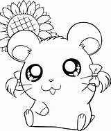 Hamsters coloring Pages  ColoringLib sketch template