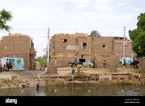 Egypt Farm Farmer agriculture field old village on the Nile river near ...