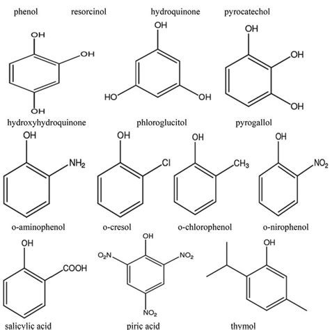 (PDF) Extraction of phenolic compounds: A review