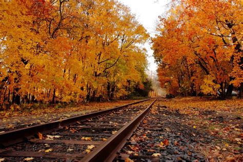 Best Fall Foliage Spots in New Jersey | Stonebridge