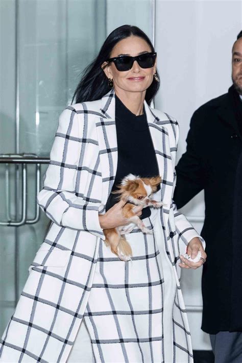 Demi Moore Matched Her Dog Pilaf's Shirt to Her Ladies-Who-Lunch Skirt Suit