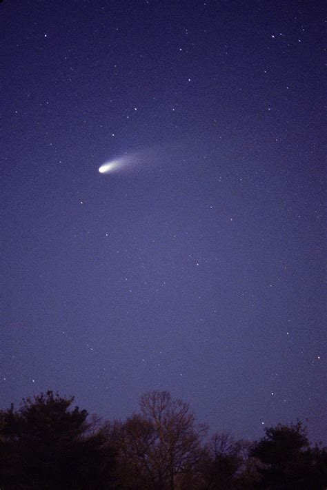 Comet Hale-bopp Photograph by John W. Bova - Pixels