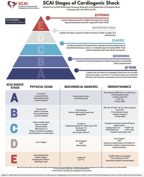 SCAI Shock Stages are Predictive of Mortality Risk