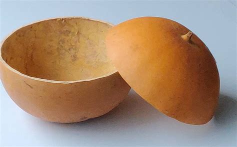 Authentic African CALABASH BOWL and LID Gourd Hand Carved 2 | Etsy