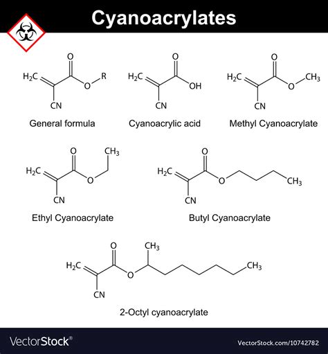 Cyanoacrylate monomers chemical structures Vector Image