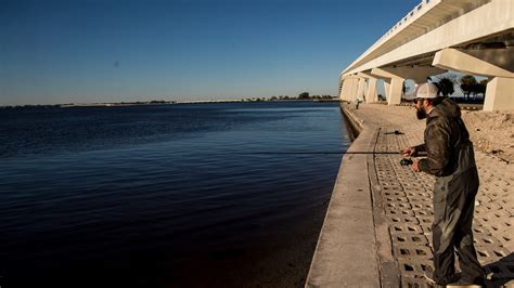 Pine Island boating group one of the latest to focus on water quality