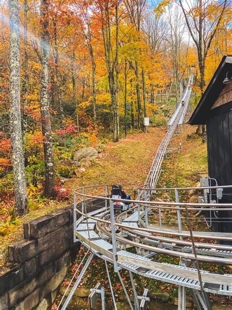 Wilderness Run Alpine Coaster: Ride Through the Mountains of North Carolina - NC Eat & Play