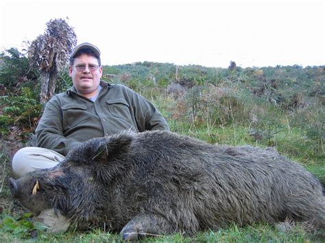 Boar Hunting · New Zealand Safaris