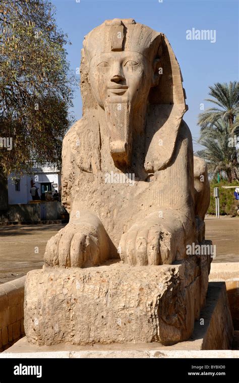 Sphinx in the ruins of Memphis, Egypt Stock Photo - Alamy