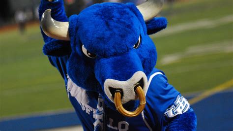 Buffalo Bulls Football: How To Watch/Listen/Follow - Bull Run