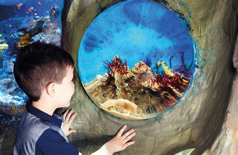 SEA LIFE Weymouth tickets | Weymouth